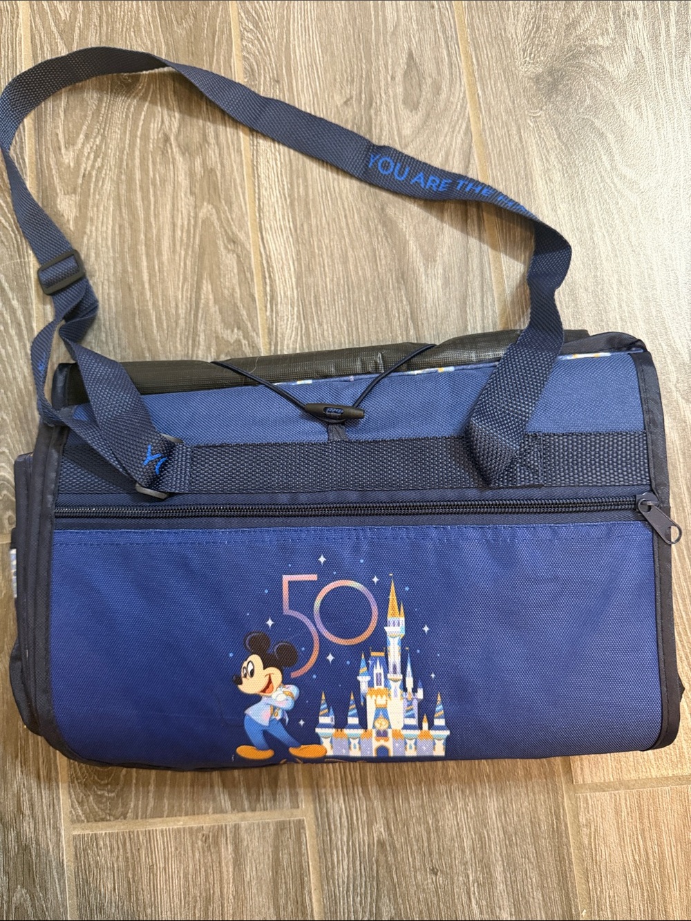 New 50th Anniversary Walt Disney World fold up fireworks/picnic blanket HTF